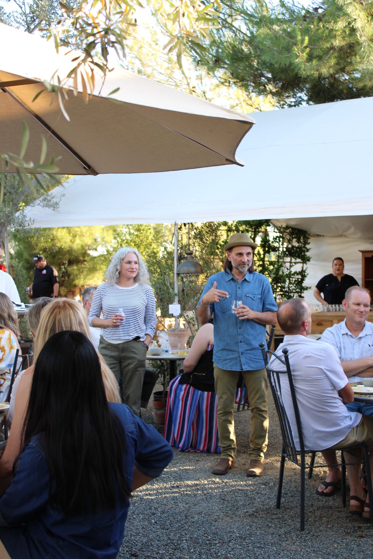 Evening Under The Olive Tree / April 26, 2025
