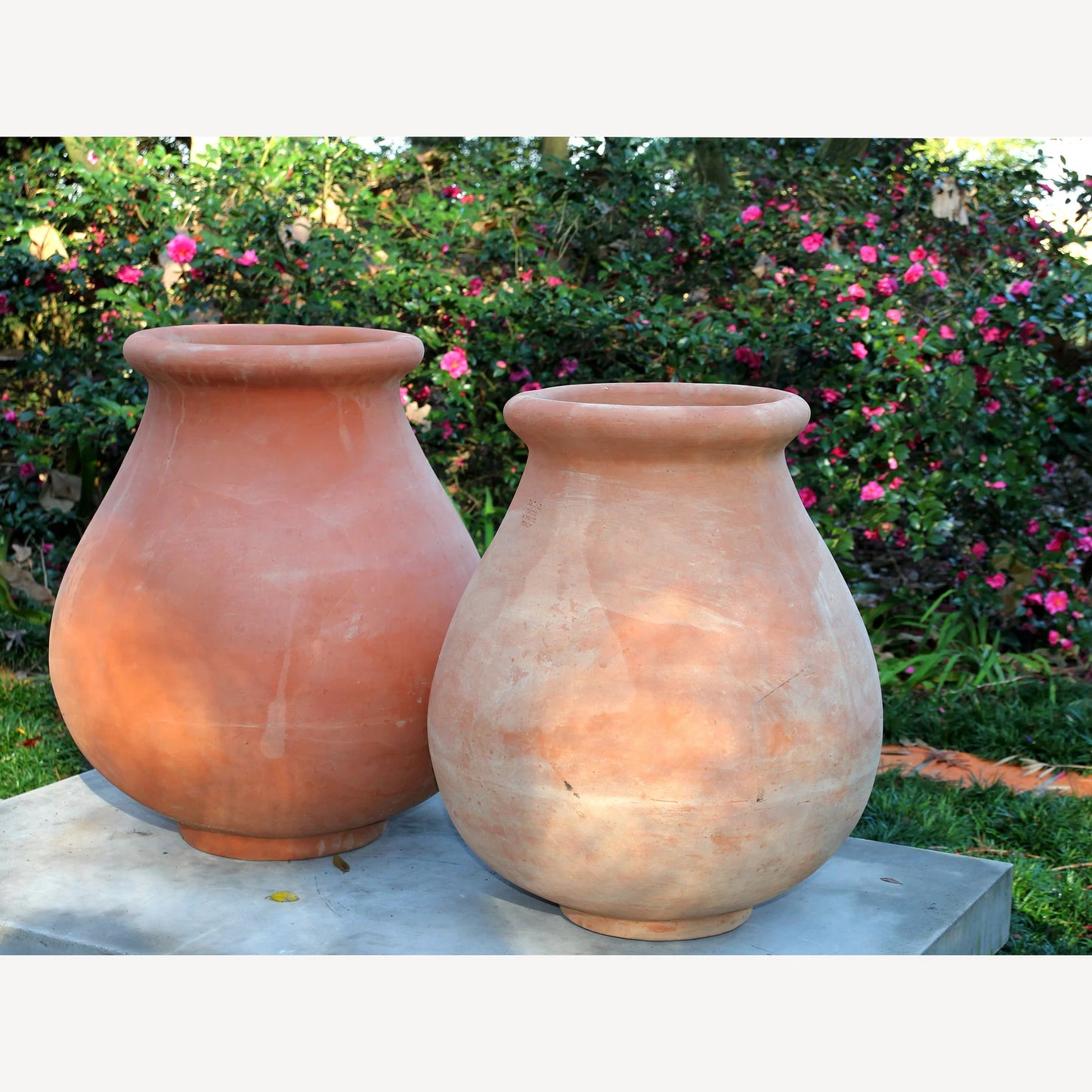 Italian Oil Jar Large AM03260385