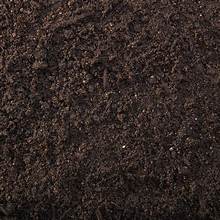 60/40 Soil