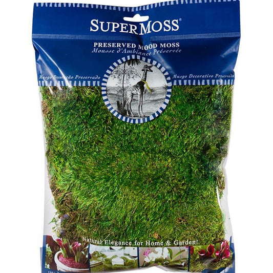 Mood Moss Preserved Bag - 175 cu. in.