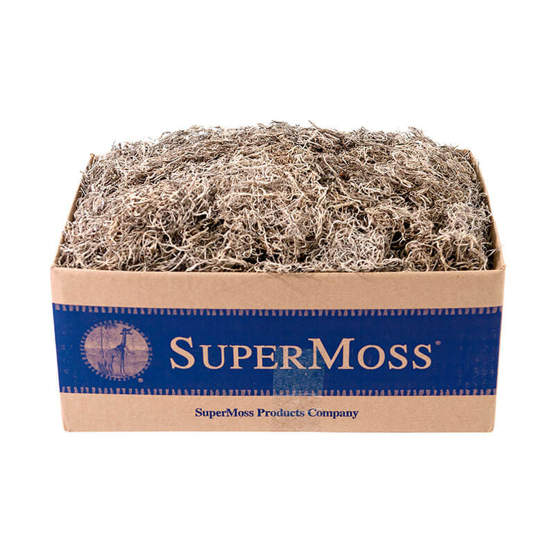 Natural Spanish Moss Preserved Box - 1560 cu. in.