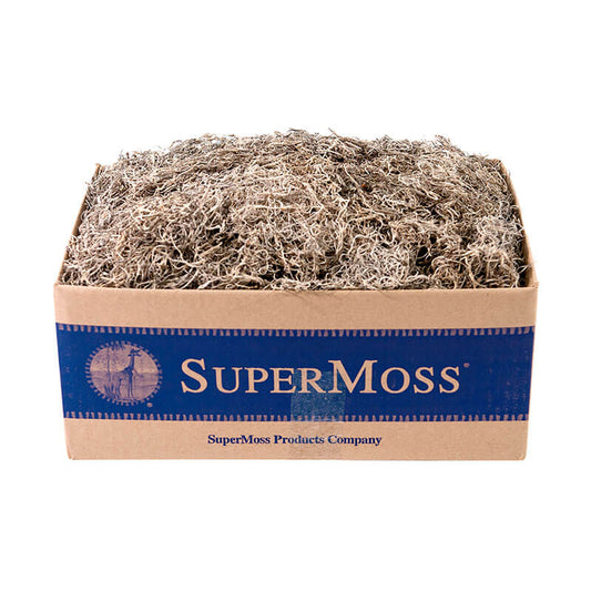 Natural Spanish Moss Preserved Box - 1560 cu. in.