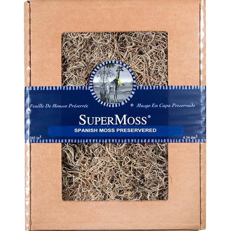 Natural Spanish Moss Preserved Box - 265 cu. in.