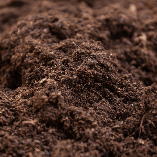 Humus Top Soil