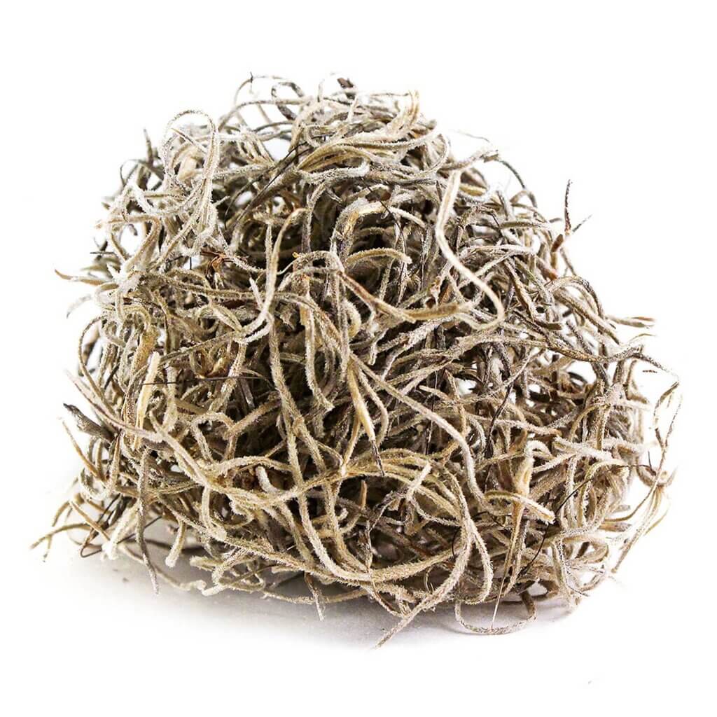 Natural Spanish Moss Preserved Box - 265 cu. in.